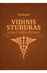 Vidinis stuburas
